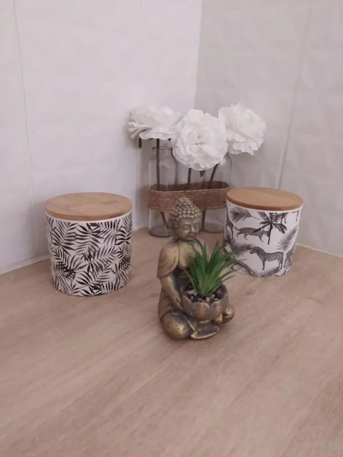 Appartement studio climatisé, 50 m de la prom, Wifi Nice France